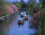 水郷柳川観光