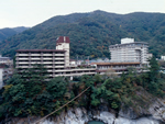 伊東園ホテル鬼怒川グリーンパレス