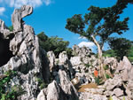 石林山公園