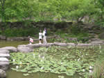 福井総合植物園　プラントピア