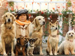 photoLeft IPCわんわん動物園
