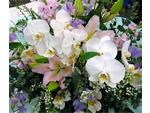 花の新鮮組