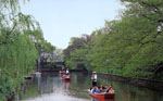 photoLeft 水郷柳川観光