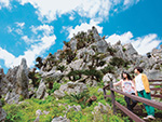 大石林山