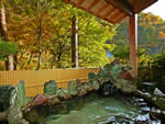 伊東園ホテル老神 山楽荘