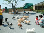 世界の名犬牧場