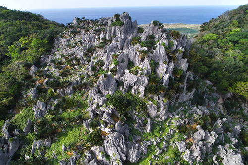 大石林山