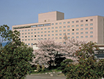 THE KASHIHARA(橿原)