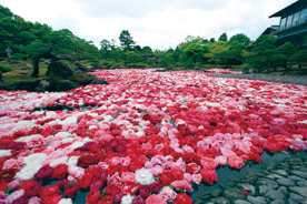 日本庭園 由志園