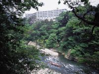 11 栃木・鬼怒川ロイヤルホテル（新